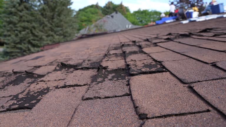 Best Roof Installation  in Sauk Vlage, IL